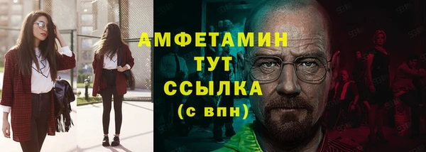 индика Лихославль