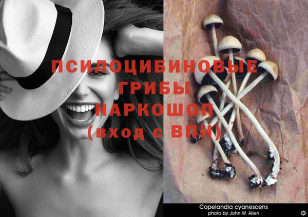 первитин Майский