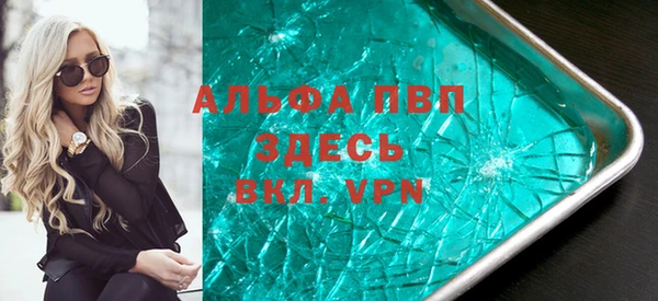 индика Лихославль