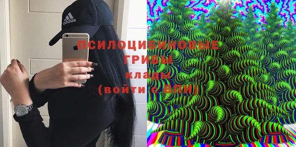 индика Лихославль