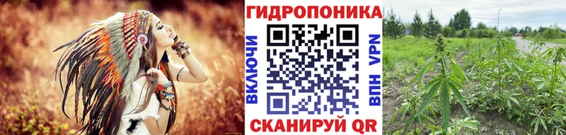 Конопля MAZAR  Купить где  Углегорск 